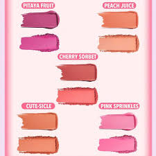 Sheglam Cheek 2 Cheek Blush Duo (3)